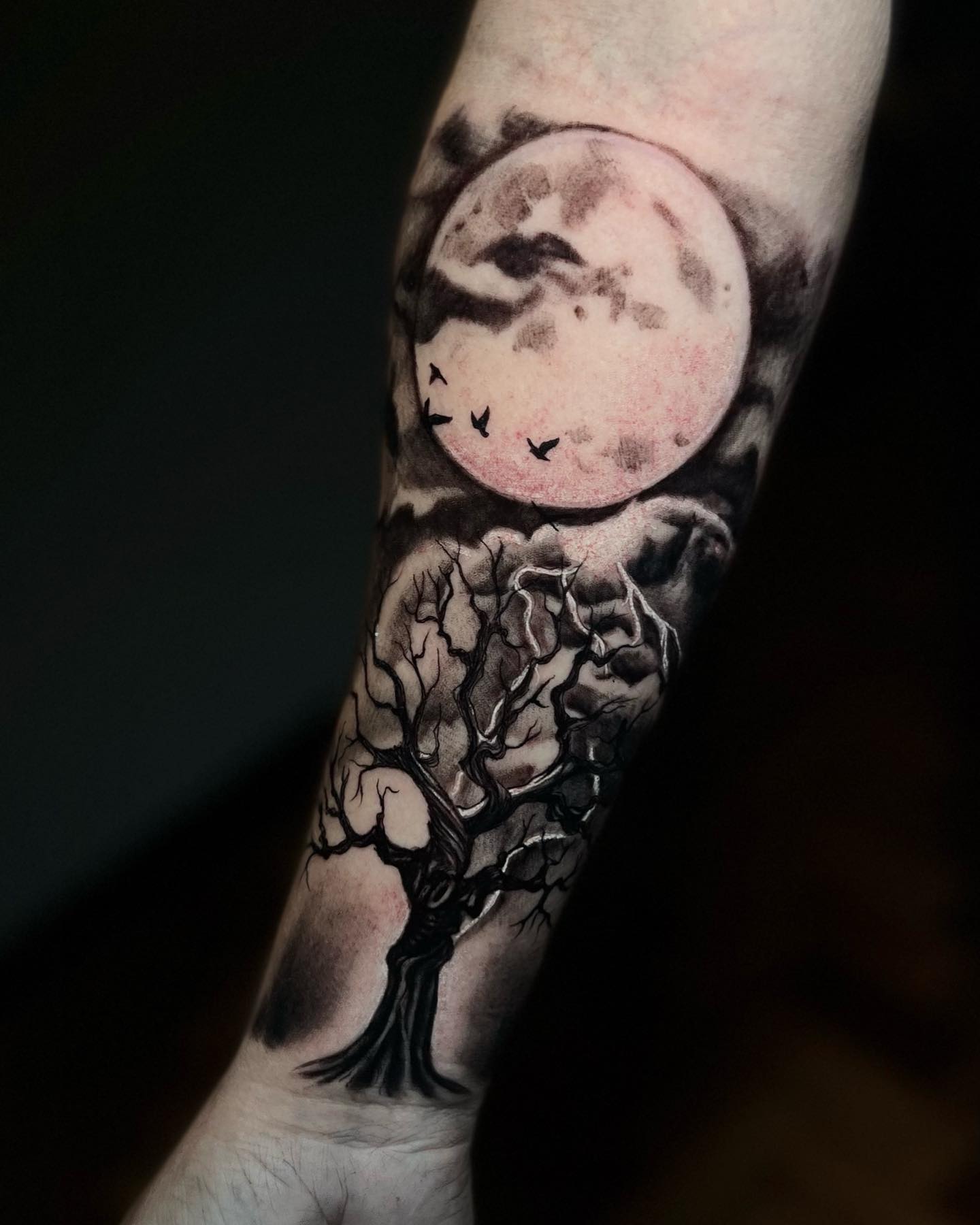 341921571_556802586331681_2787729476815583832_n